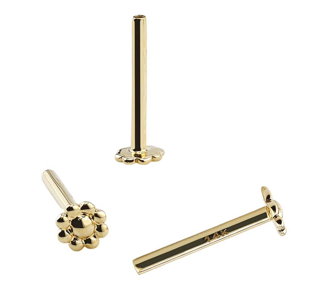 14K Gold Internally Threaded Flower Labret 